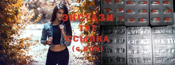 СК Михайловск