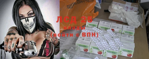ПСИЛОЦИБИНОВЫЕ ГРИБЫ Михайлов
