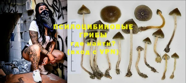 MDMA Premium VHQ Медвежьегорск