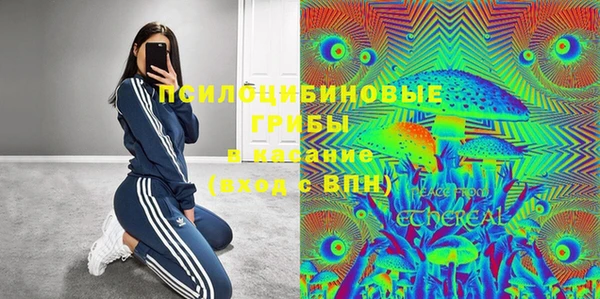 СК Михайловск