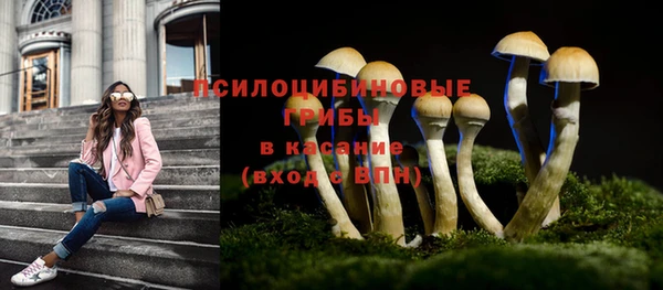 MDMA Premium VHQ Медвежьегорск