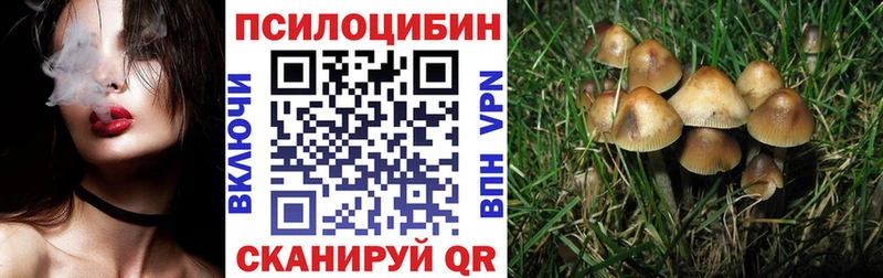 Галлюциногенные грибы Magic Shrooms  Черепаново 
