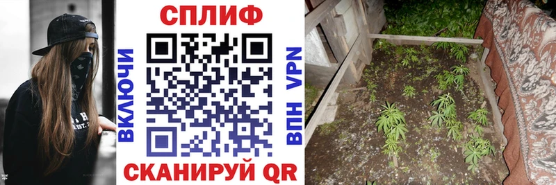 Бошки Шишки VHQ  Черепаново 